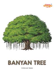 Banyan Tree