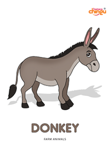 Donkey