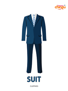 Suit