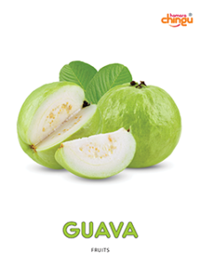 GUAVA